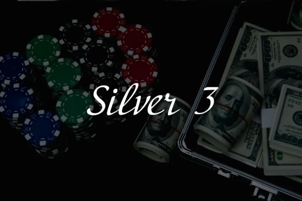 Silver 3